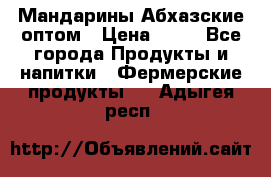 Мандарины Абхазские оптом › Цена ­ 19 - Все города Продукты и напитки » Фермерские продукты   . Адыгея респ.